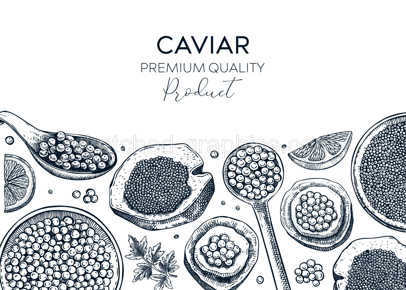 Seafood background design with red caviar canape, canned black caviar, lemons in sketched style. Sea delicacy banner template for restaurant menu or finger food party. Hand drawn tinned fish sketches Illustration